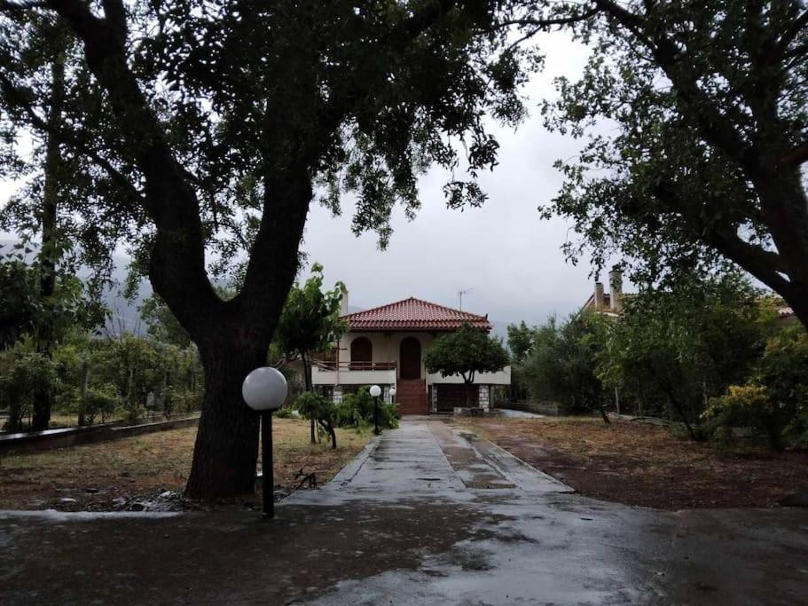 Cozy Tatil Evi